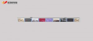 18.9 inch 1920×237 bar lcd screen display